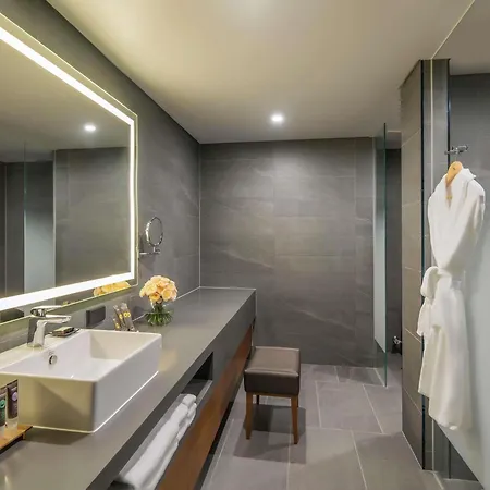 Novotel Ambassador Seoul Dongdaemun Hotels & Residences Exterior photo